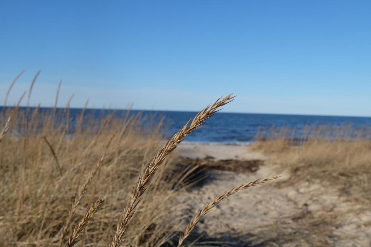 Tahkuna Puhkekeskus Hiiumaa Luaran gambar